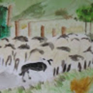 Meet your Posher, Ana